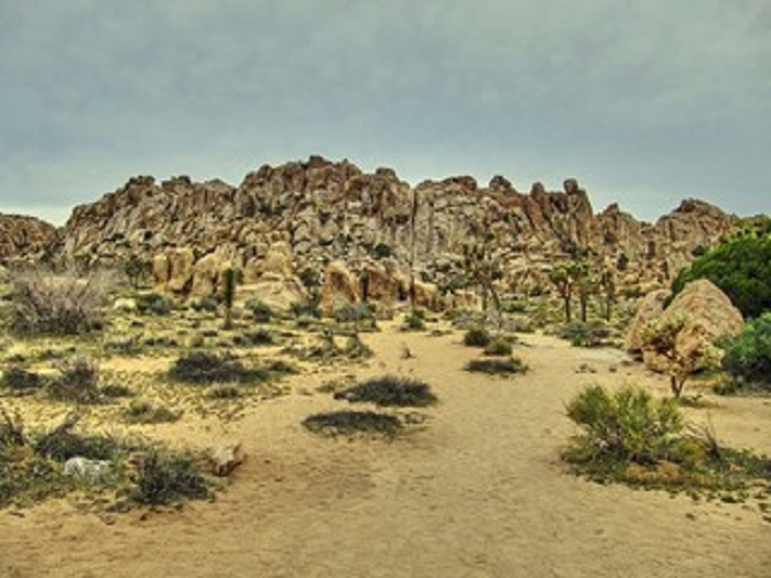 Rock formations of Joshua Tree Mojave National Preserve Park - California