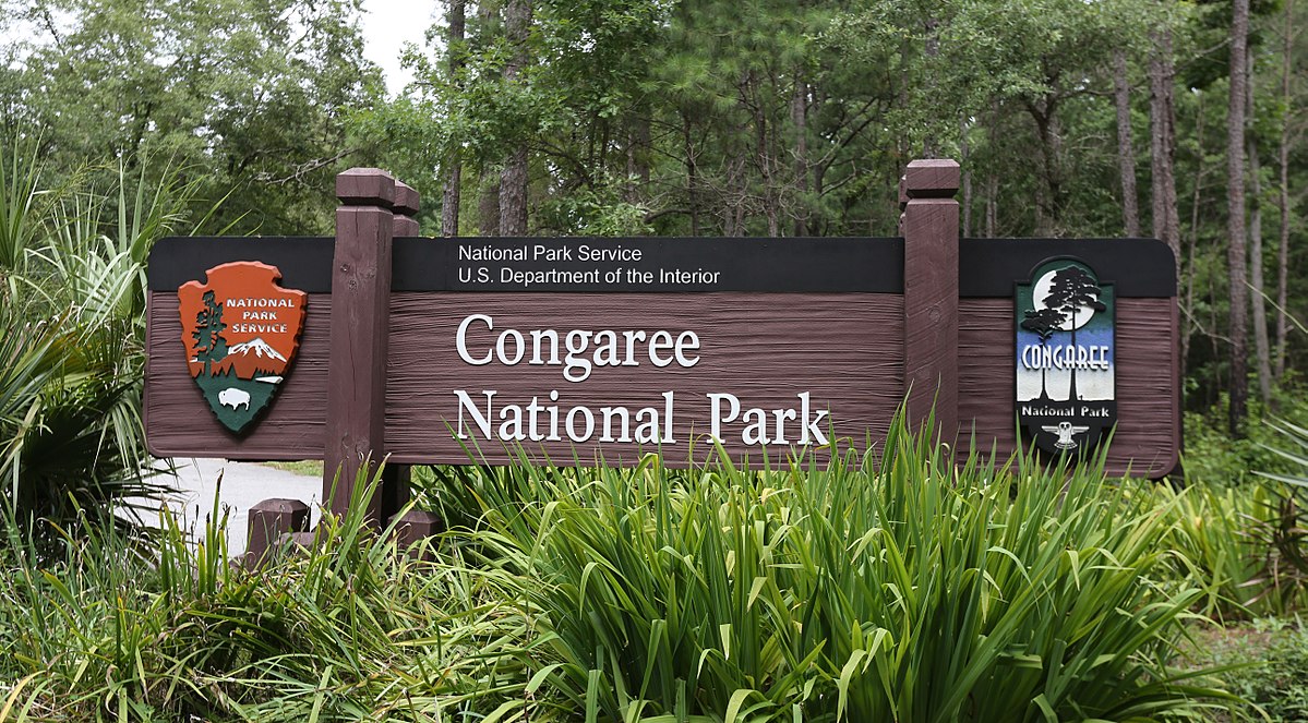 The Congaree National Park sign surrounded by evergreens and foliage.