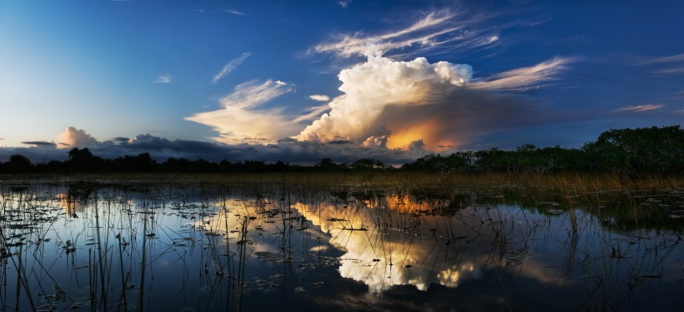 Reflections of a cloudy sky over Florida's wetlands