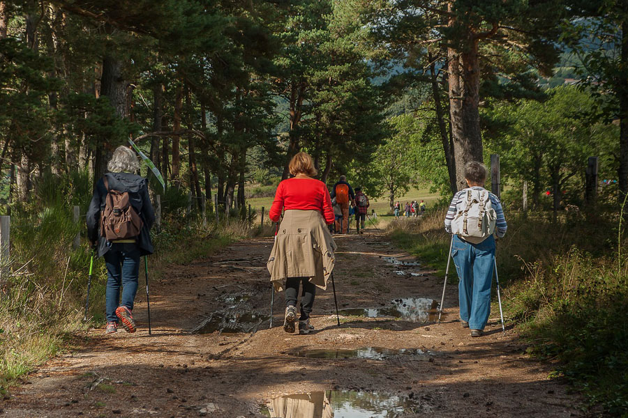 Hikers on a muddy trail with walking sticks hiking through a green forest