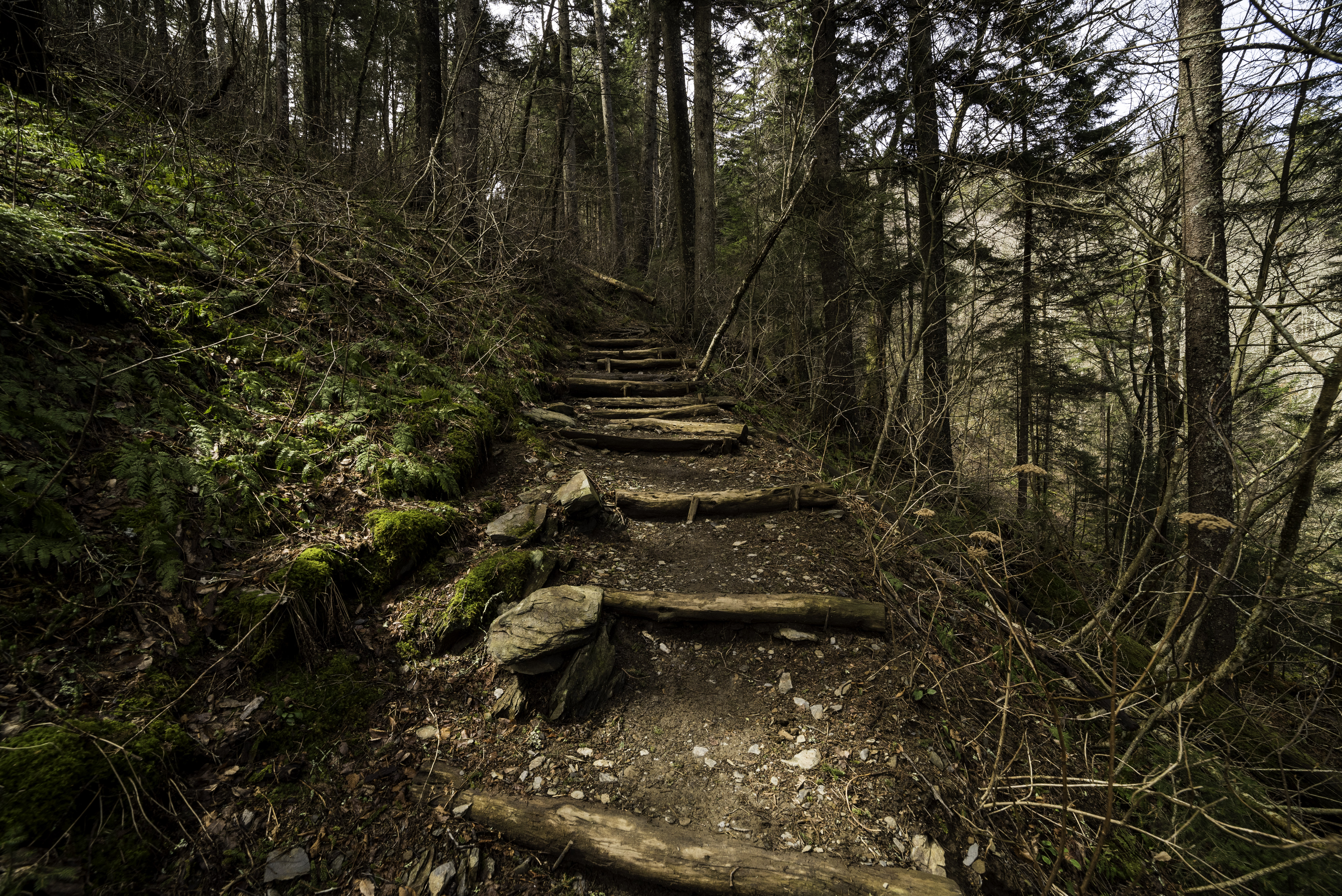 The Appalachian Trail is part of our National Trails System through the Smokey Mountains