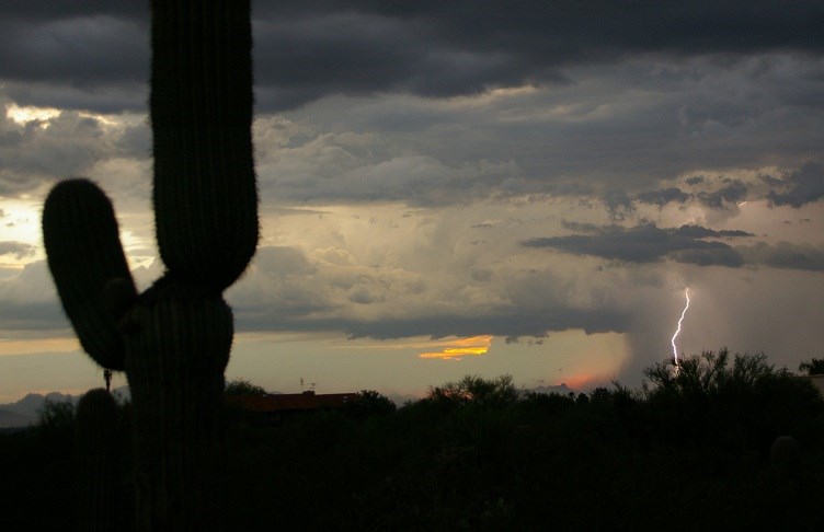 Lightening in the Saguaro National Park