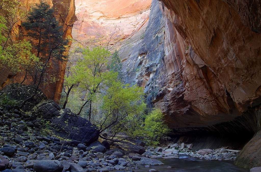 Discover the Narrows through the REI National Parks Programs at Zion National Park in Utah is part of the REI National Parks Programs