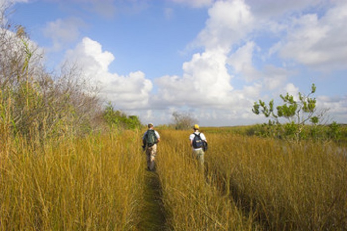 Hikers at Everglades National Park