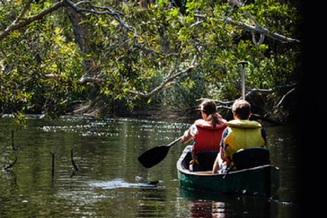Paddling downriver at Everglades National Park
