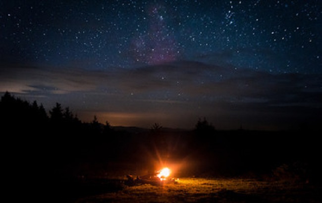 bonfire in the woods on a background of the sky at Everglades National Park