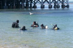 Scuba diving lessons at Monterey, California
