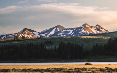 Best Time to Visit Yellowstone for Your Wildlife Adventure