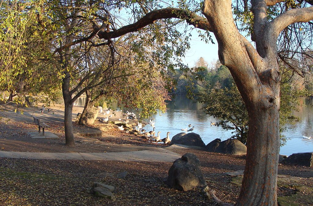 10 Great Things to Do in Woodward Park — Fresno’s Largest