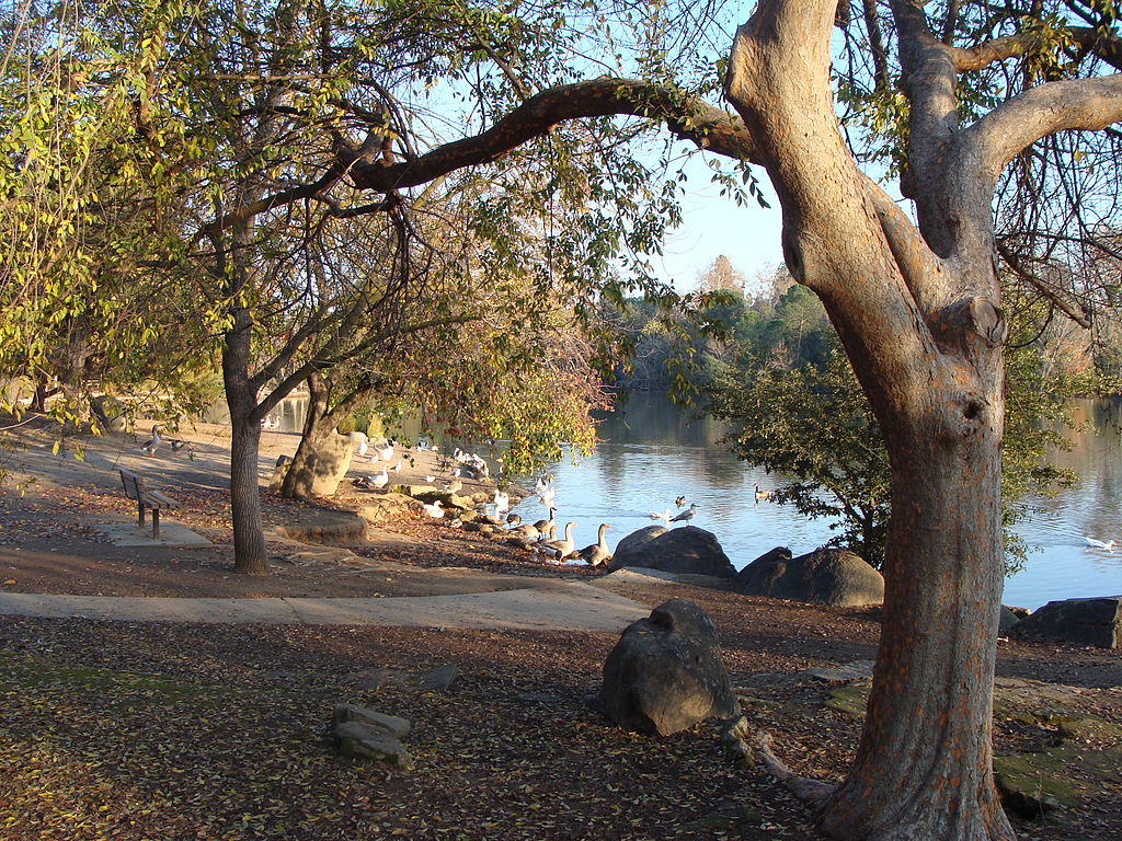 10 Great Things to Do in Woodward Park Fresno's Largest